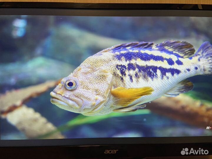 Матовый монитор acer 24 дюйма