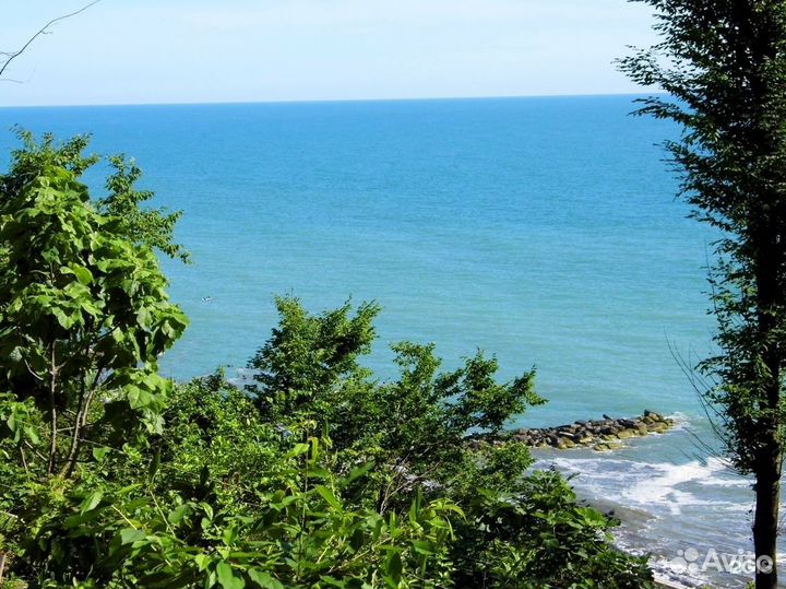 Лазаревское, п. Вардане. Отдых в Сочи у моря