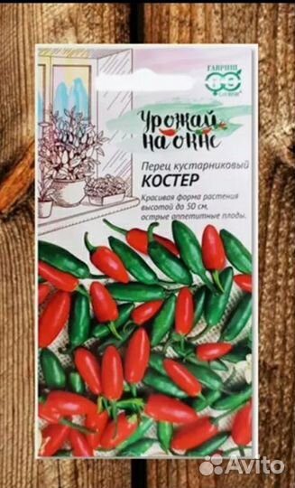 Рассада перца
