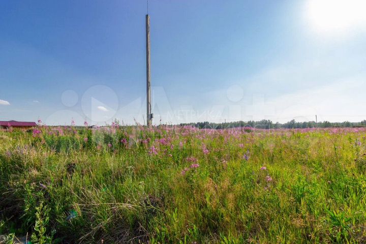 Участок 40 сот. (СНТ, ДНП)