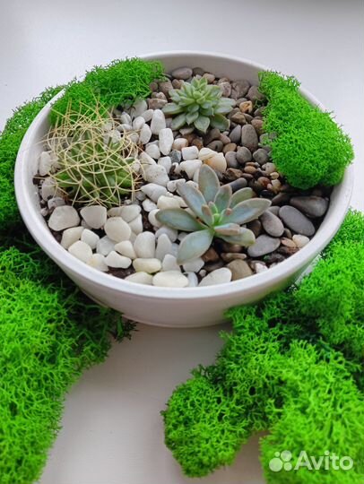 Флорариум мини