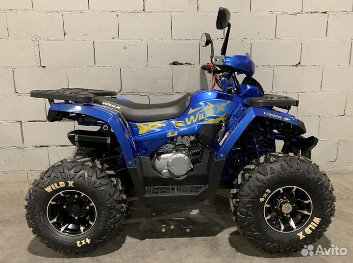 Квадроцикл Motoland 125 wild X PRO