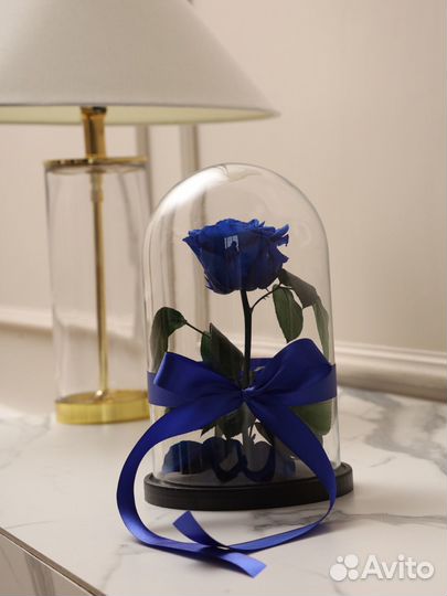 Роза синяя в колбе в упаковке с доставкой