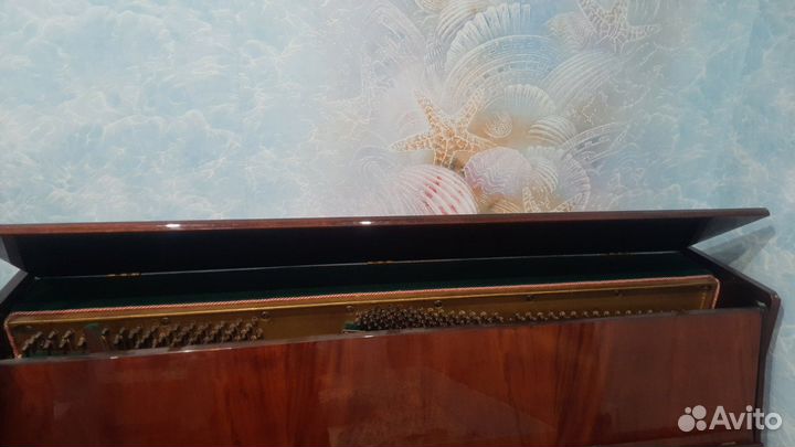 Музыкальные инструменты