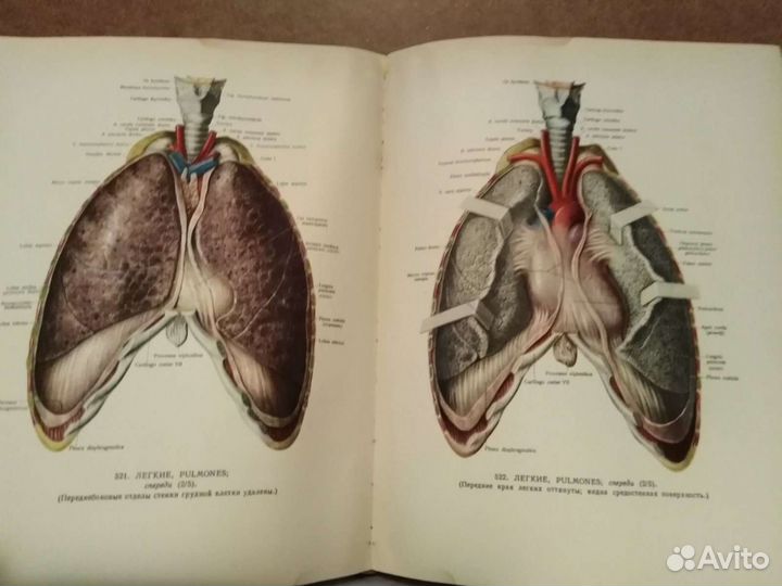 Атлас анатомии человека 1963г.В трех томах