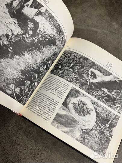 Приусадебный сад, Россельхозиздат