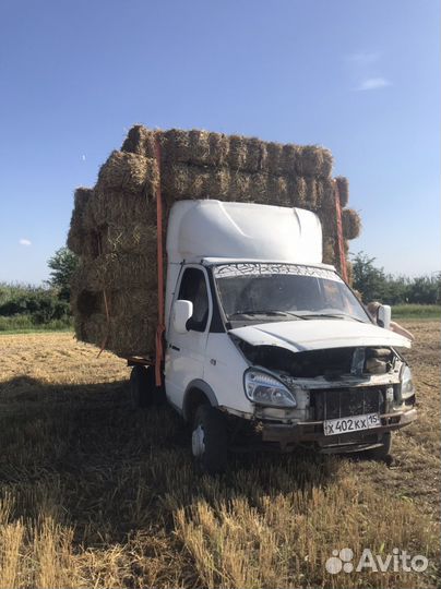 Солома ячменная и пшеница