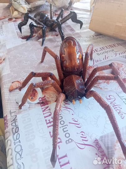 Шкатулка паук