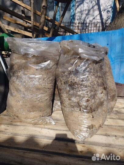 Помет Перепелиный