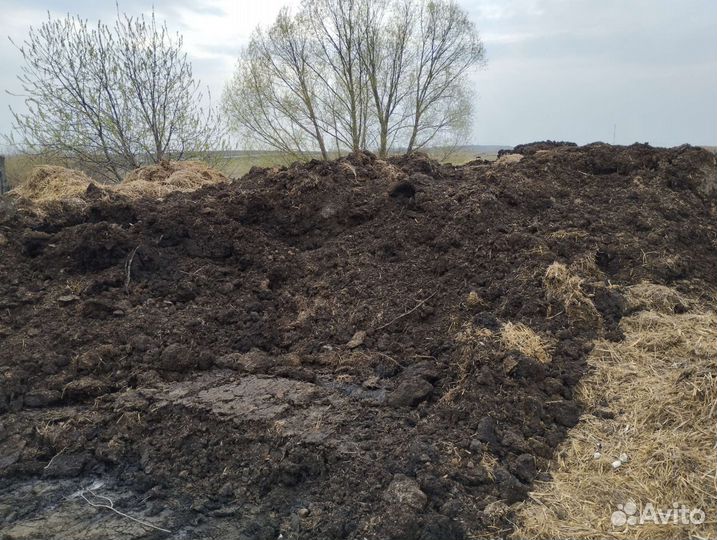 Навоз перегной конский