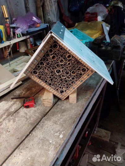 Домик для насекомых и разведение божьих каровок