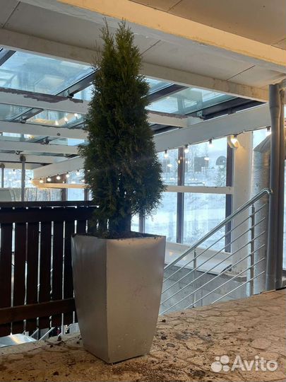 Кашпо, вазон, клумба из бетона