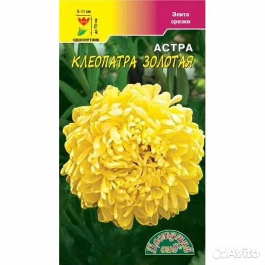 Семена