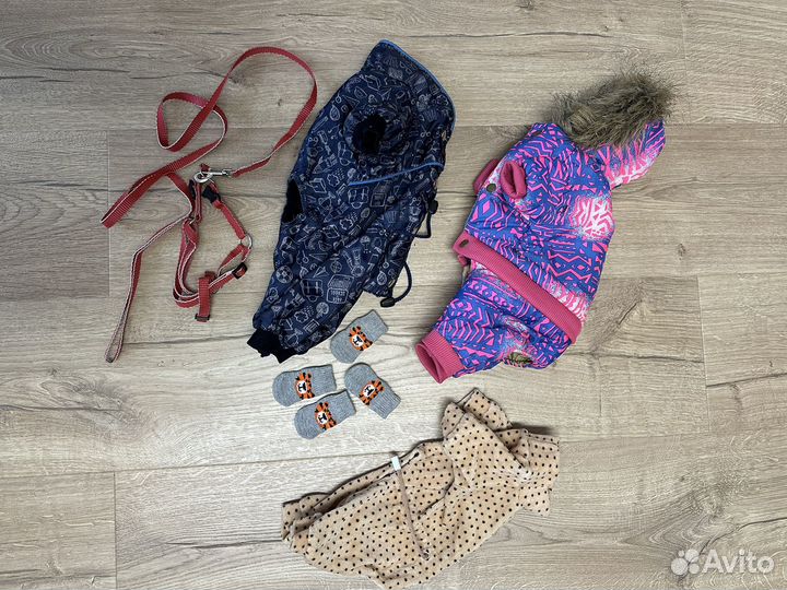 Одежда для маленькой собачки, лежанка, игрушки