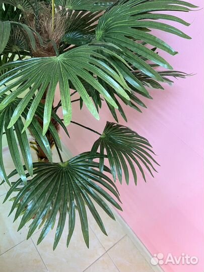 Искусственная пальма новая