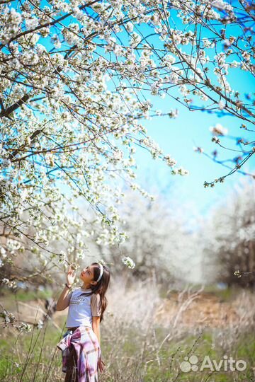 Цветущие сады