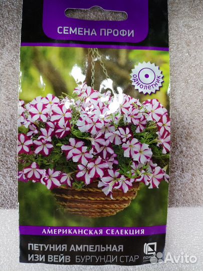 Петунии ампельные