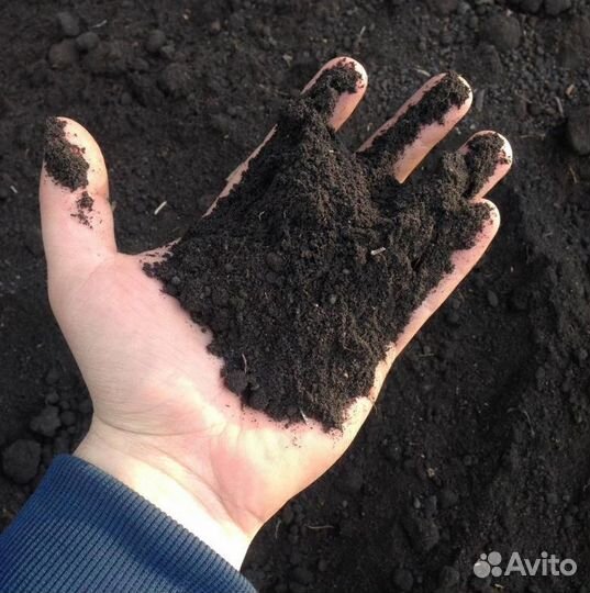 Земля плодородная