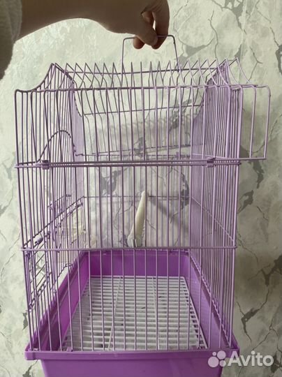 Клетка для попугая