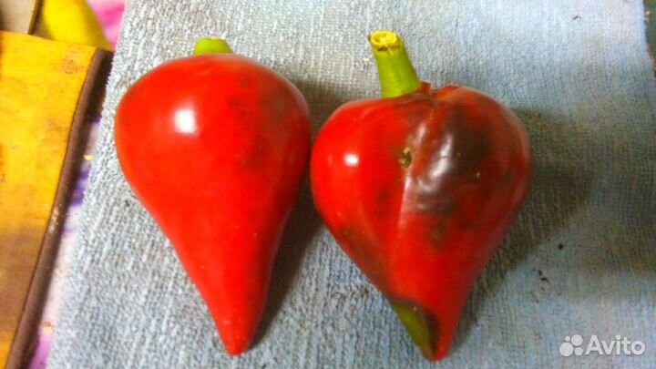Семена Томатов и перца