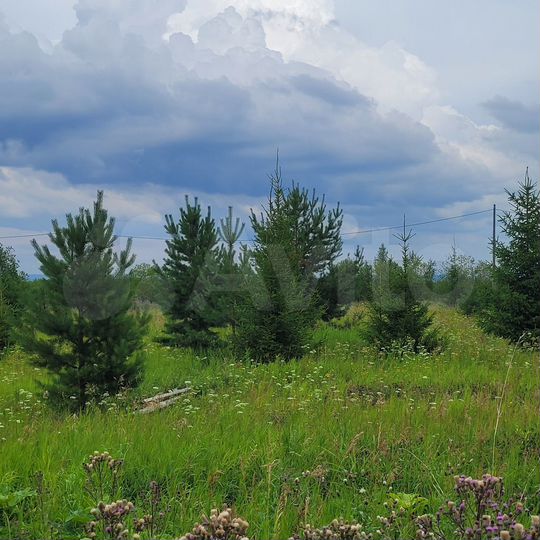 Участок 7,9 сот. (СНТ, ДНП)