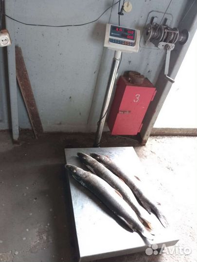 Продукты оптом