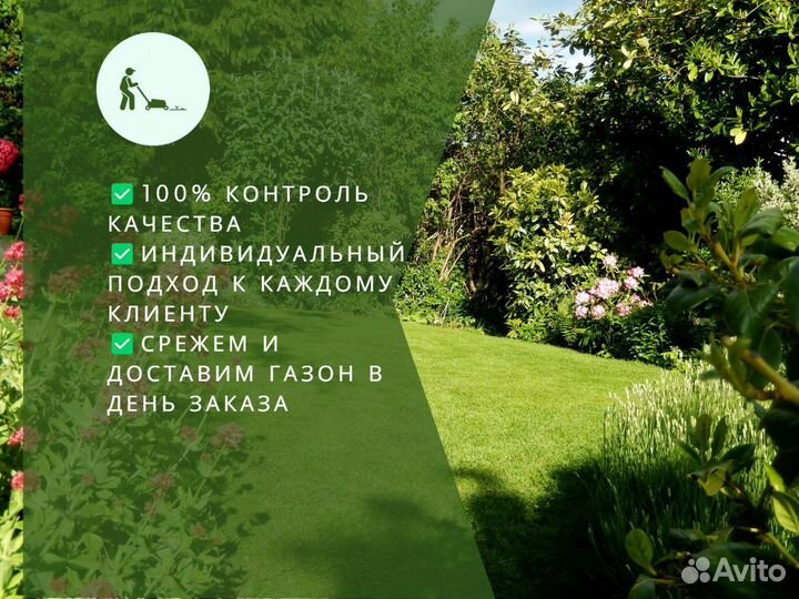 Рулонный газон теневыносливый