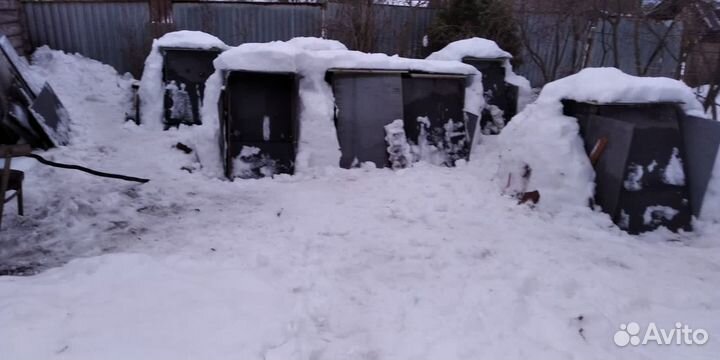 Пчёлосемьи