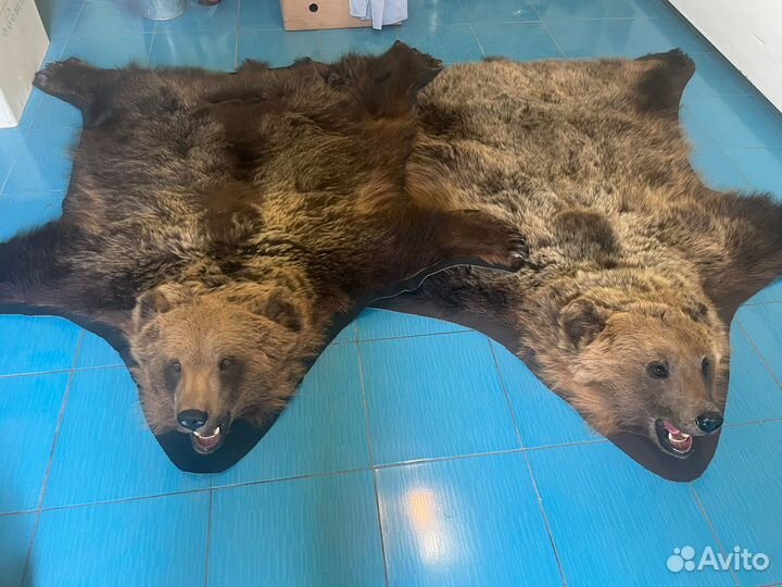 Шкура медведя имитация
