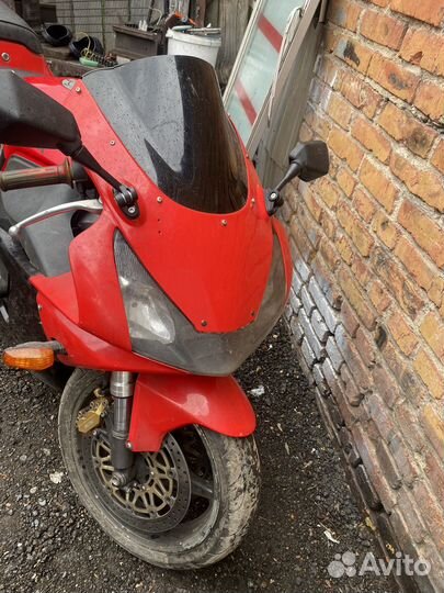 Honda cbr954 RR Fireblade