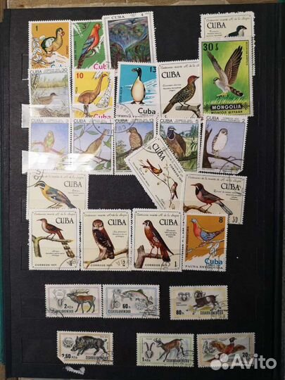 Коллекционные марки (разных стран и года выпуска)