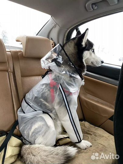 Дождевик для крупной собаки