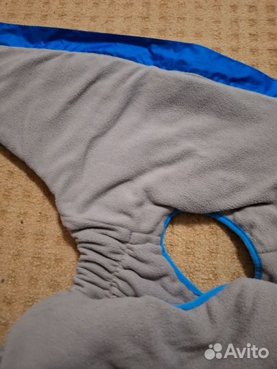 Жилет и миска для собаки