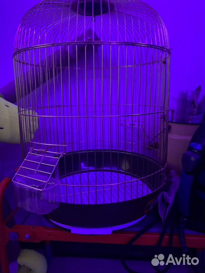 Клетка для попугая