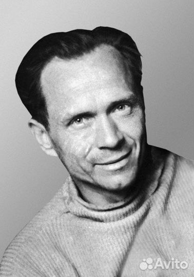 Картина А. Ненартовича 