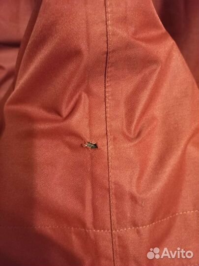 Брюки горнолыжные женские 46 48 Pureland outdoor