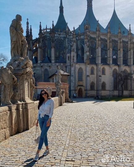 Репетитор по обществознанию/русскому огэ/егэ