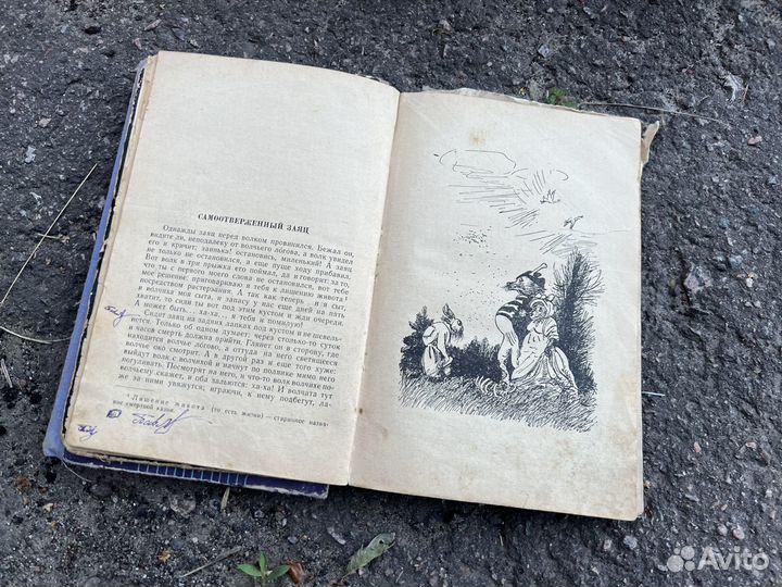 Штурм абсолютного нуля, Салтыков Щедрин