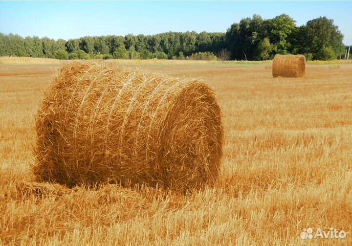 Сено и солома