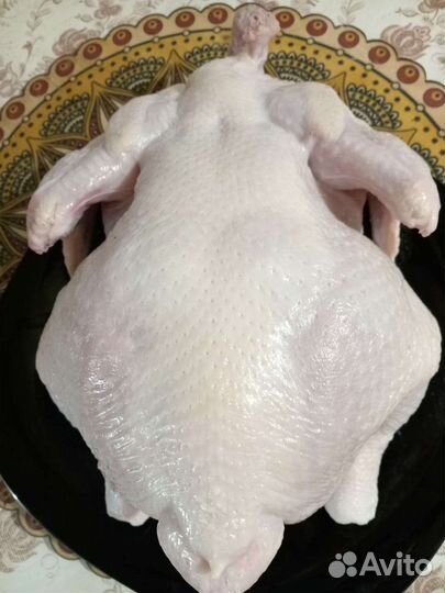 Мясо домашнего бройлера халяль