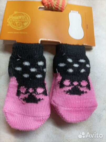 Одежда для собак