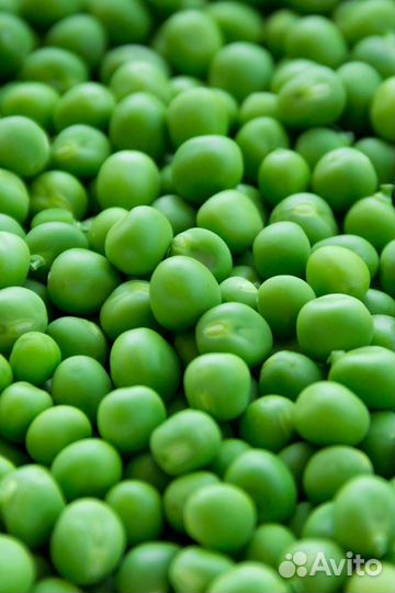 Семена сладкого овощного гороха