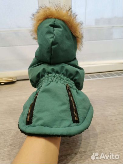 Парка для маленькой собачки