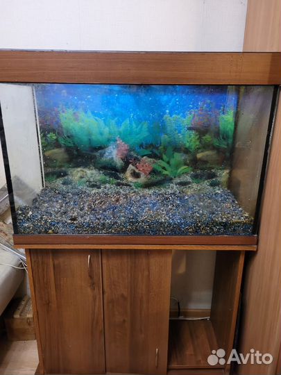 Аквариум с тумбой