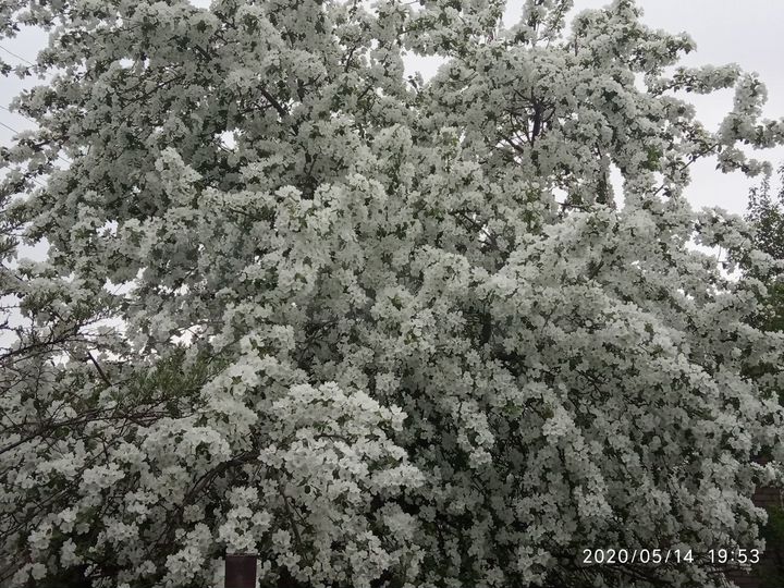 Дом 25 м² на участке 4,5 сот.