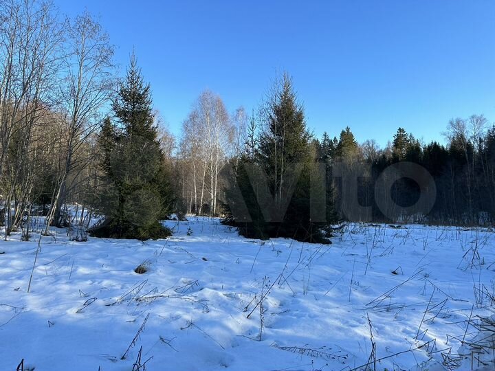 Участок 12,3 сот. (ИЖС)