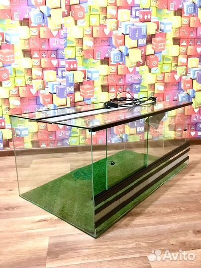 Террариум / Бородатая агама / Змея / Эублефар