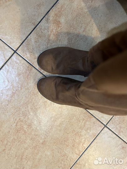 Сапоги женские ботильоны демисизоные