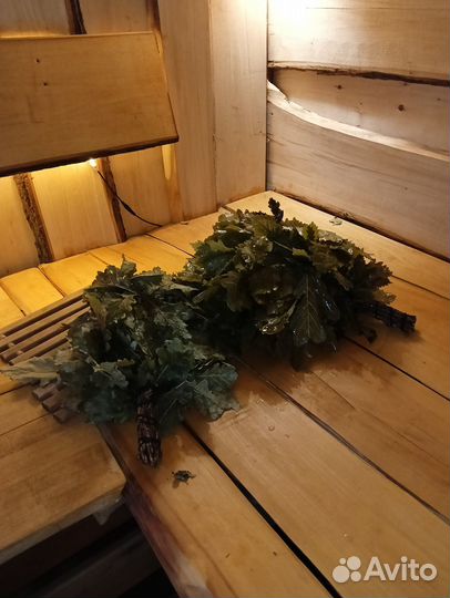 Аренда Бани с Прорубью Внутри