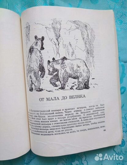 За вольерами зоопарков (1974)